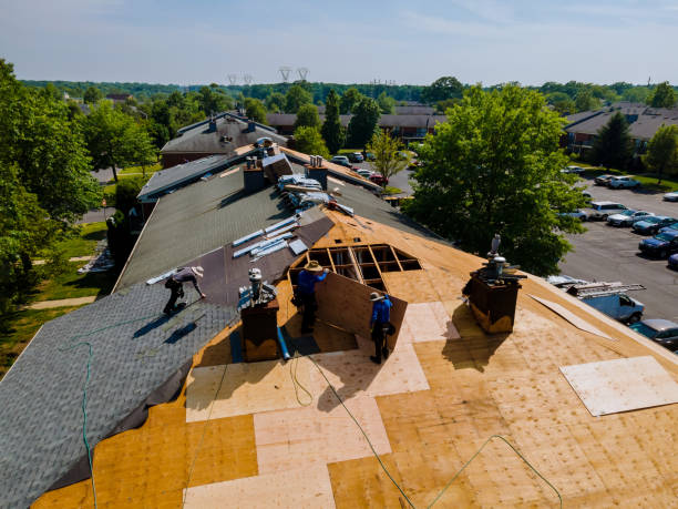 Best Best Roofing Contractors  in Cayuga, IN