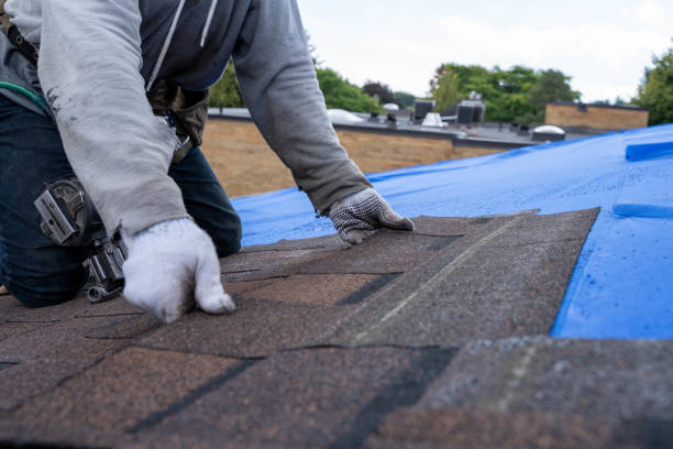 Best Roof Gutter Cleaning  in Cayuga, IN