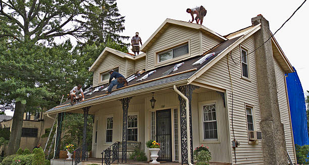 Best Roof Replacement Cost  in Cayuga, IN